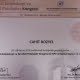 Op. Dr.  Cahit Bozyel - diplomaları ve sertifikalari_25