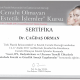 Op. Dr.  Çağdaş Orman - diplomaları ve sertifikalari_31