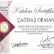 Op. Dr.  Çağdaş Orman - diplomaları ve sertifikalari_22