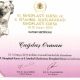 Op. Dr.  Çağdaş Orman - diplomaları ve sertifikalari_8