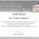 Op. Dr.  Çağdaş Orman - diplomaları ve sertifikalari_29