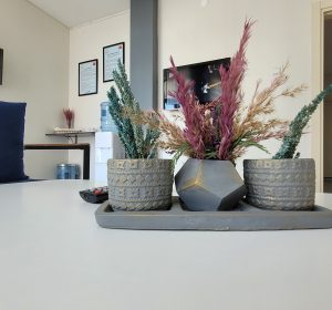 Dr. A. OĞUZHAN TEMİZER