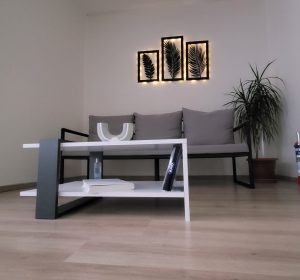 Dr. A. OĞUZHAN TEMİZER